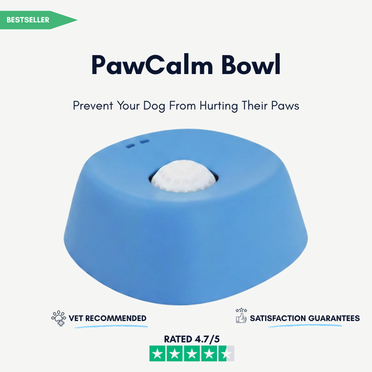 PawCalm Bowl